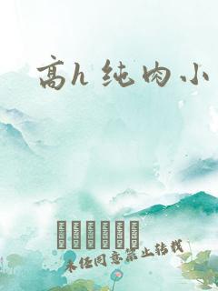 高h 纯肉小说