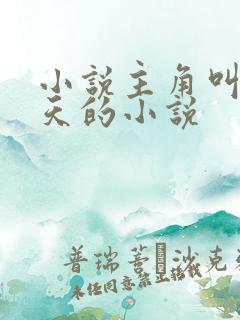 小说主角叫杨小天的小说