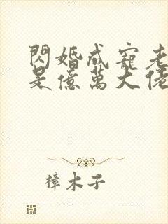 闪婚成宠老公竟是亿万大佬