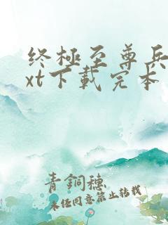 终极至尊兵王txt下载完本