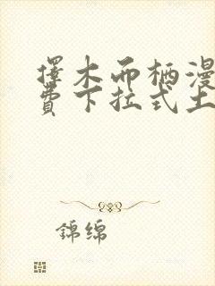 择木而栖漫画免费下拉式土豪漫画