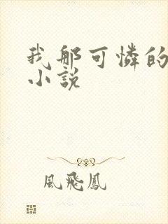 我那可怜的母亲小说