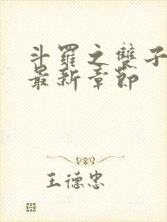 斗罗之双子斗罗最新章节