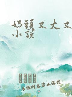 奶头又大又骚的小说