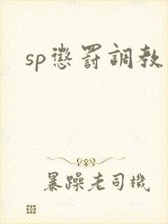 sp惩罚调教文
