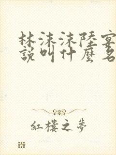 林沫沫陆宴泽小说叫什么名字