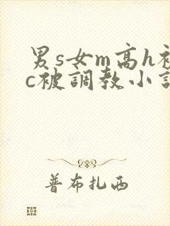 男s女m高h被c被调教小说