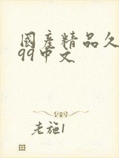 国产精品久久久99中文