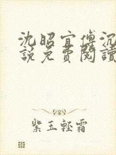 沈昭宜傅沉砚小说免费阅读最新章节