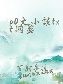 p0文小说txt网盘