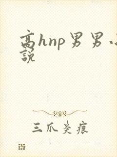 高hnp男男小说