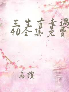 三生有幸遇见你40全集免费观看