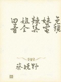 田姐辣妹免费观看全集电视剧在线