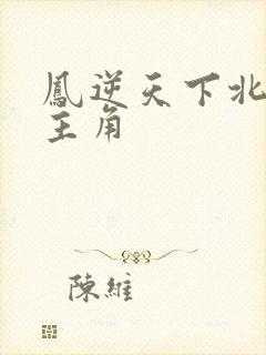 凤逆天下北月篇主角