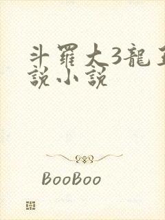 斗罗大3龙王传说小说