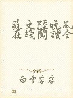 苏文陆晚风小说在线阅读全文