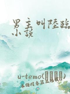 男主叫陆临渊的小说