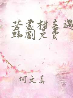 苦尽柑来遇见你韩剧免费