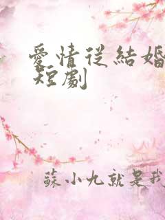 爱情从结婚开始 短剧