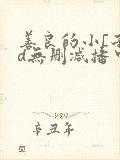 善良的小[子hd无删减播中文