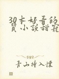 30本好看的肉质小说甜宠文