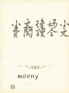 小文后妈小说免费阅读全文最新章节