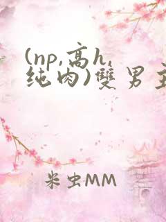 (np,高h,纯肉)双男主