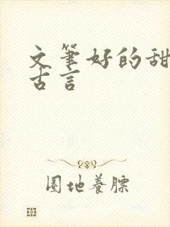 文笔好的甜宠文古言