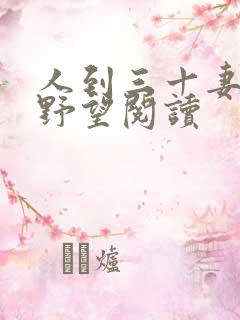 人到三十妻子的野望阅读