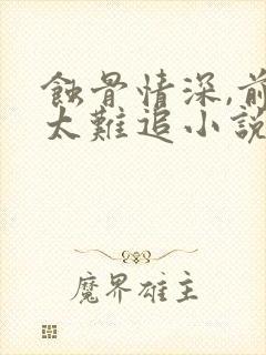 蚀骨情深,前妻太难追小说全文阅读