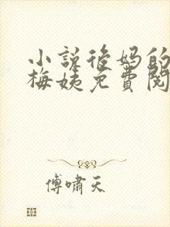 小说后妈的闺蜜梅姨免费阅读