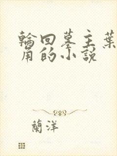 轮回墓主叶辰主角的小说