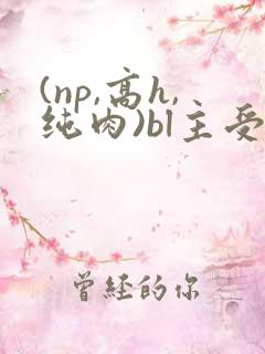 (np,高h,纯肉)bl主受