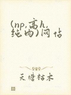 (np,高h,纯肉)网站