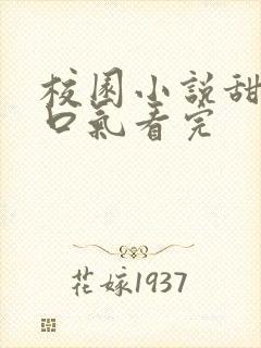 校园小说甜文一口气看完