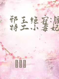 邪王绝宠:腹黑特工小毒妃小说