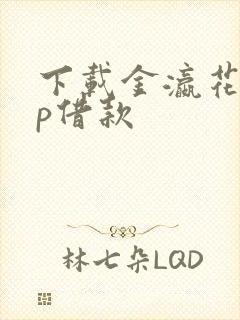 下载金瀛花app借款