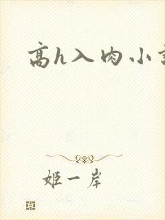高h入肉小说