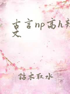 古言np高h辣文