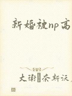 新婚被np高h