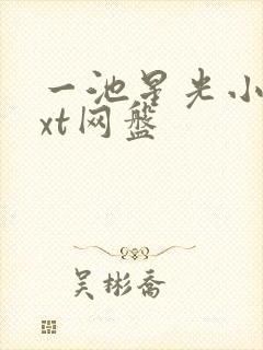 一池星光小说txt网盘