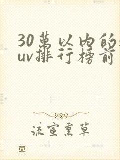 30万以内的suv排行榜前十名