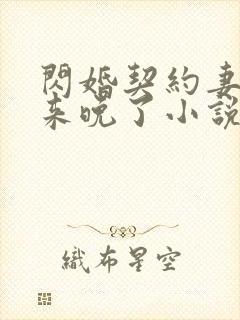 闪婚契约妻为夫来晚了小说免费阅读