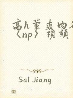 高h荤爽肉欲文〈np〉视频