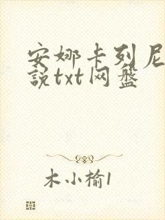 安娜卡列尼娜小说txt网盘