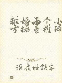 离婚两个小孩女方抚养权归谁