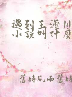 遇到王沥川原著小说叫什么