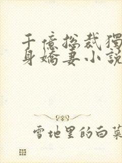 千亿总裁独宠替身娇妻小说txt下载