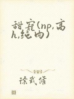 甜宠(np,高h,纯肉)