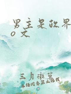 男主是政界的po 文